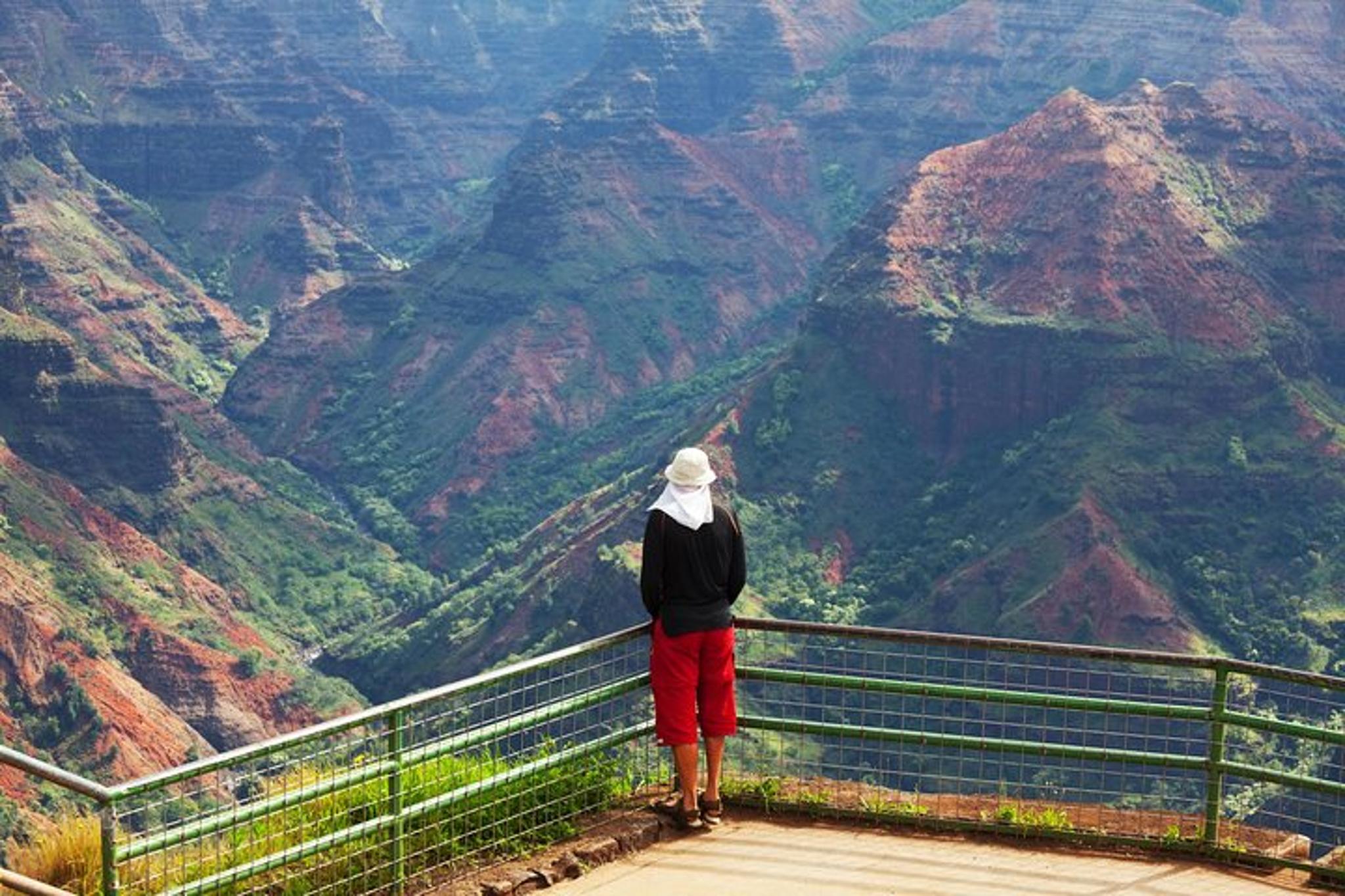 Kauai Waimea Canyon & Na Pali Driving Tour - Image 6