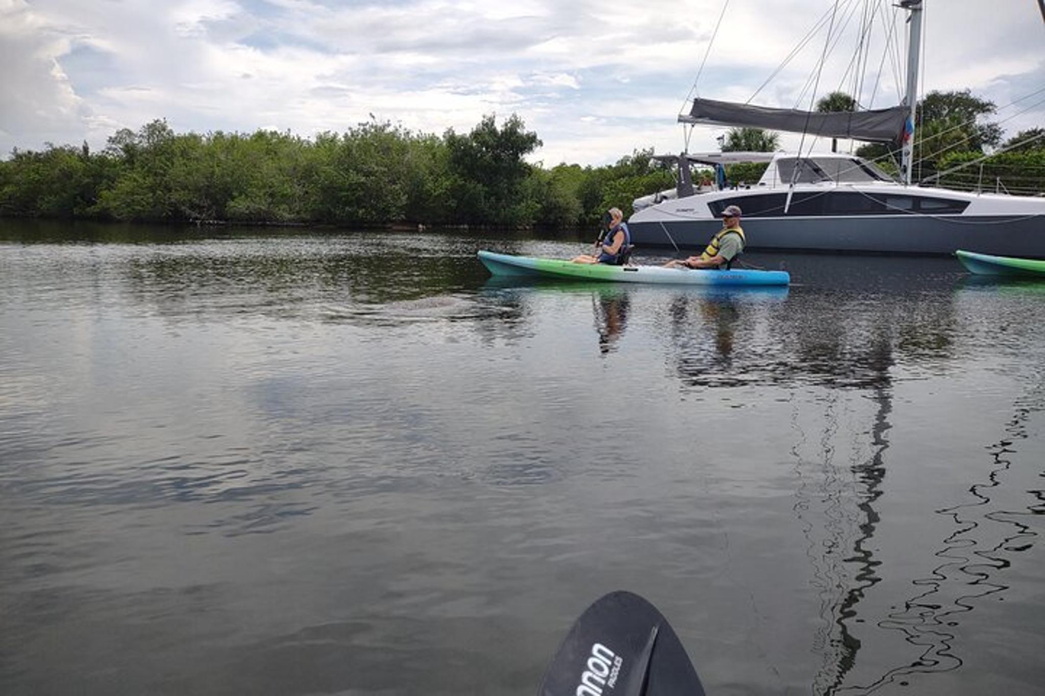 Manatee Cove Kayak Rental with Wildlife Sightings - Image 3