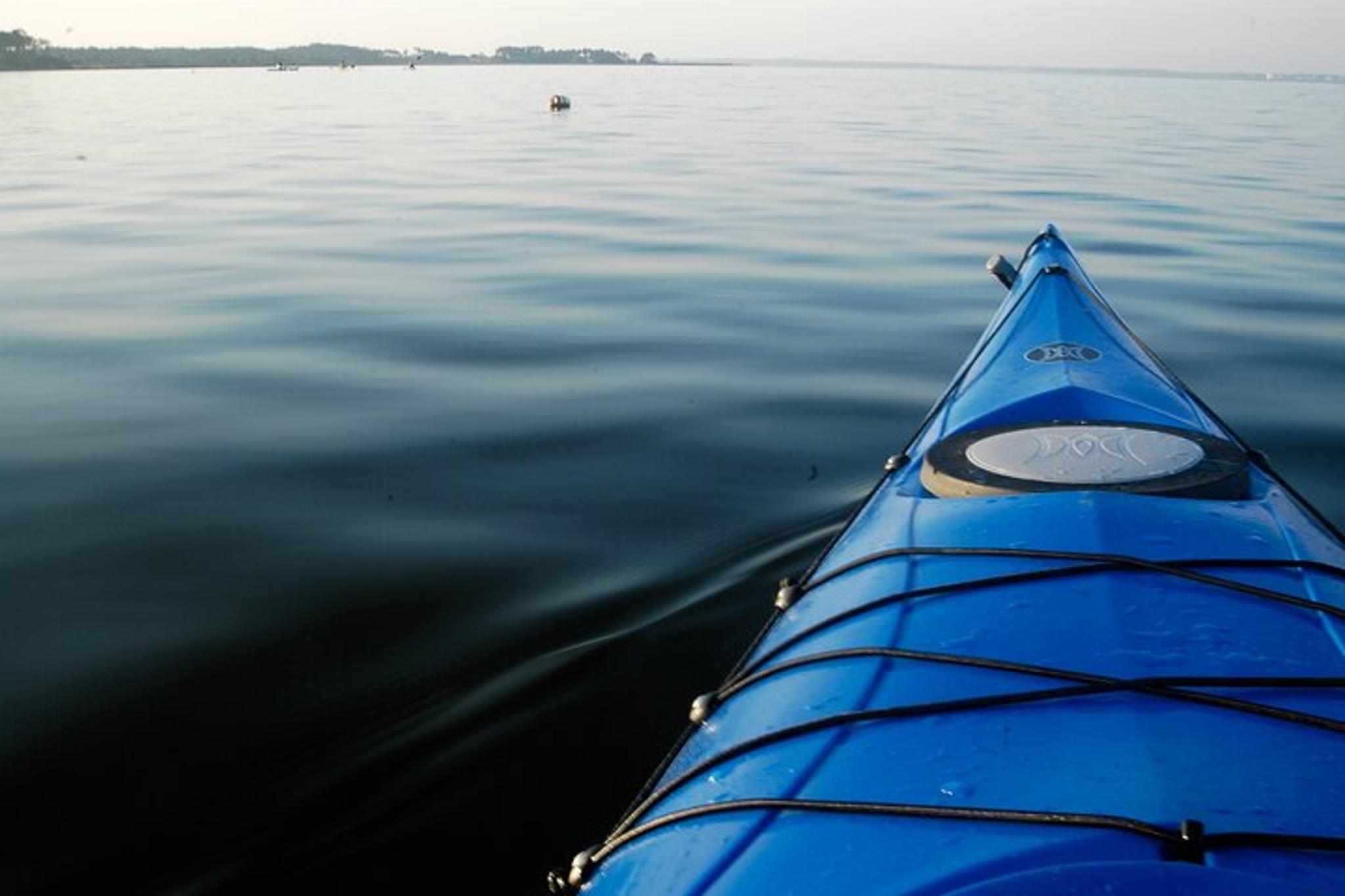 Corolla Kayak Tour in Currituck Sound - Image 5