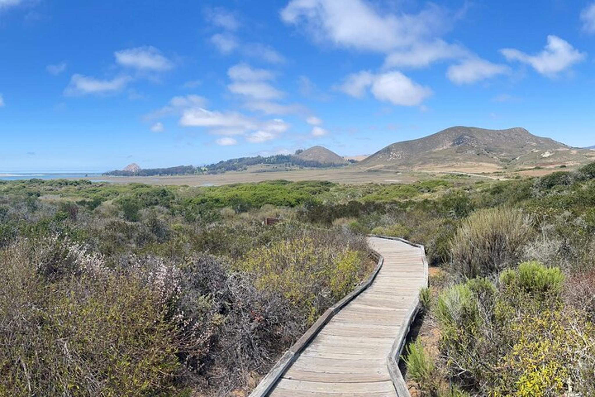Morro Bay Nature Tour with Tasting 90 min - Image 4