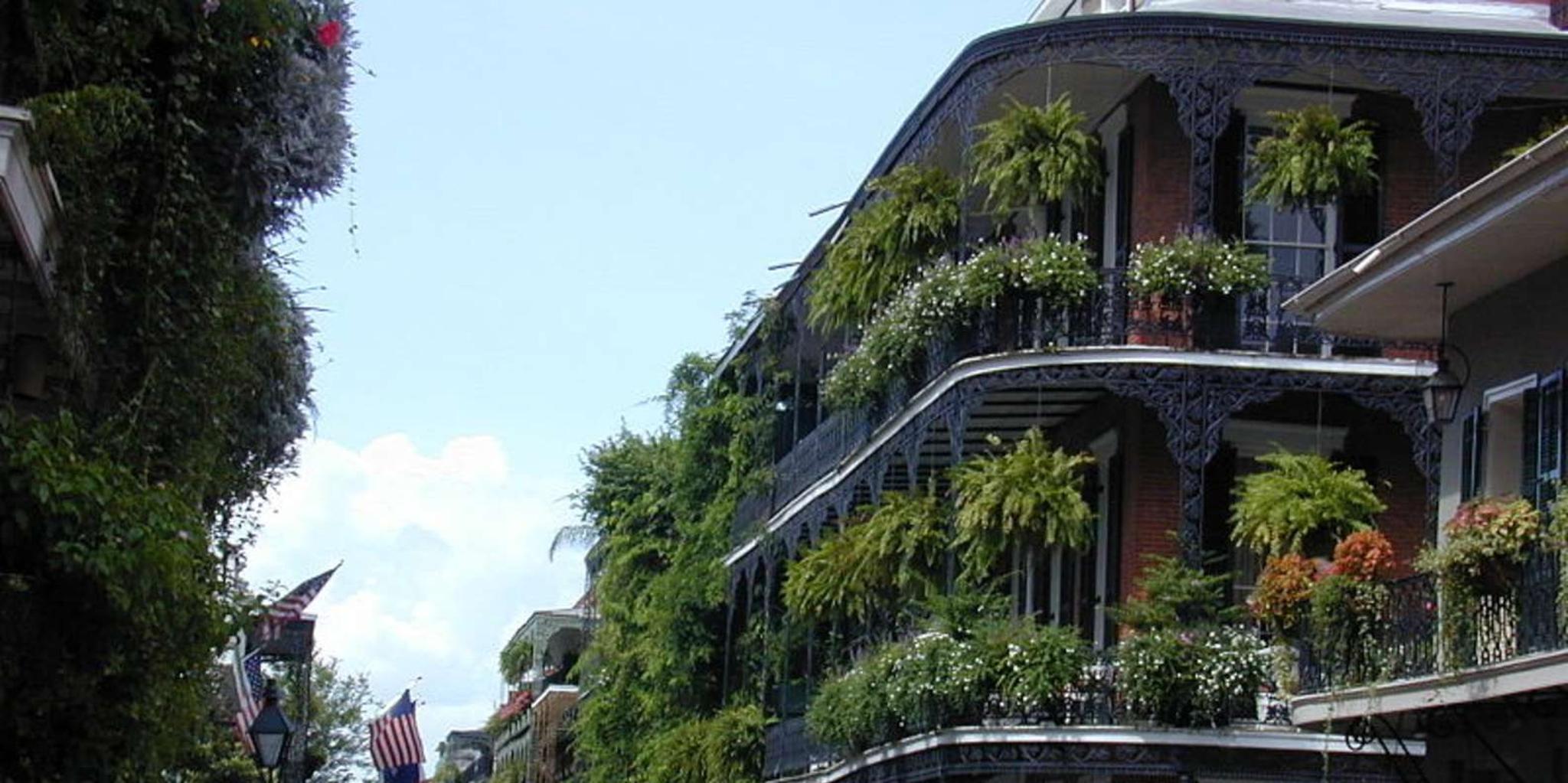 New Orleans City & Cemetery Tour by Minibus - Image 3