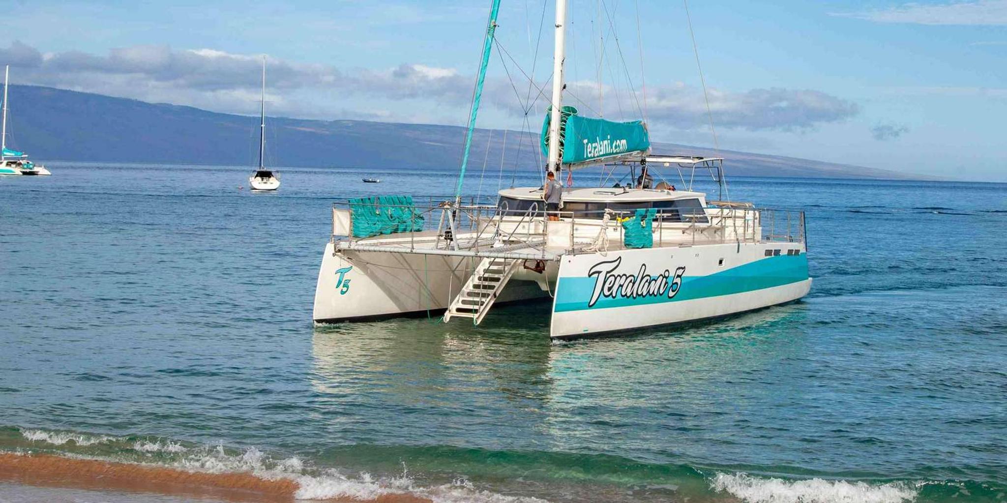 Maui Whale Watching Boat Tour with Open Bar - Image 5
