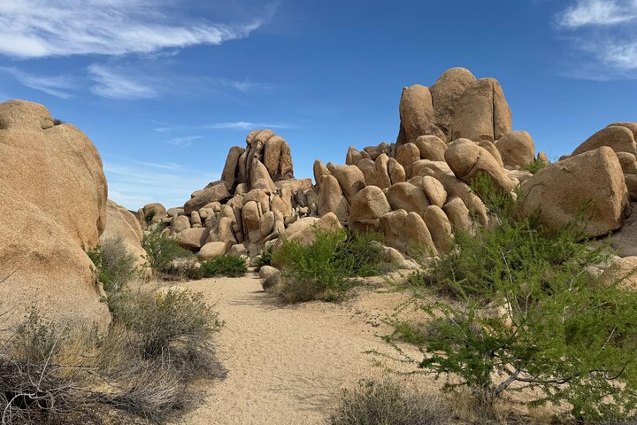 Joshua Tree National Park Private Day Tour - Image 3