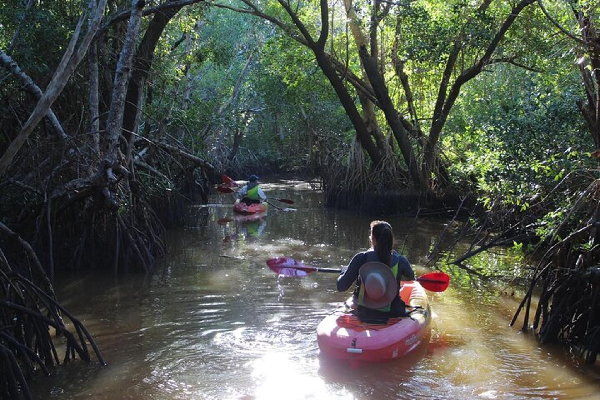 Everglades Kayak and Canoe Rental - Image 3