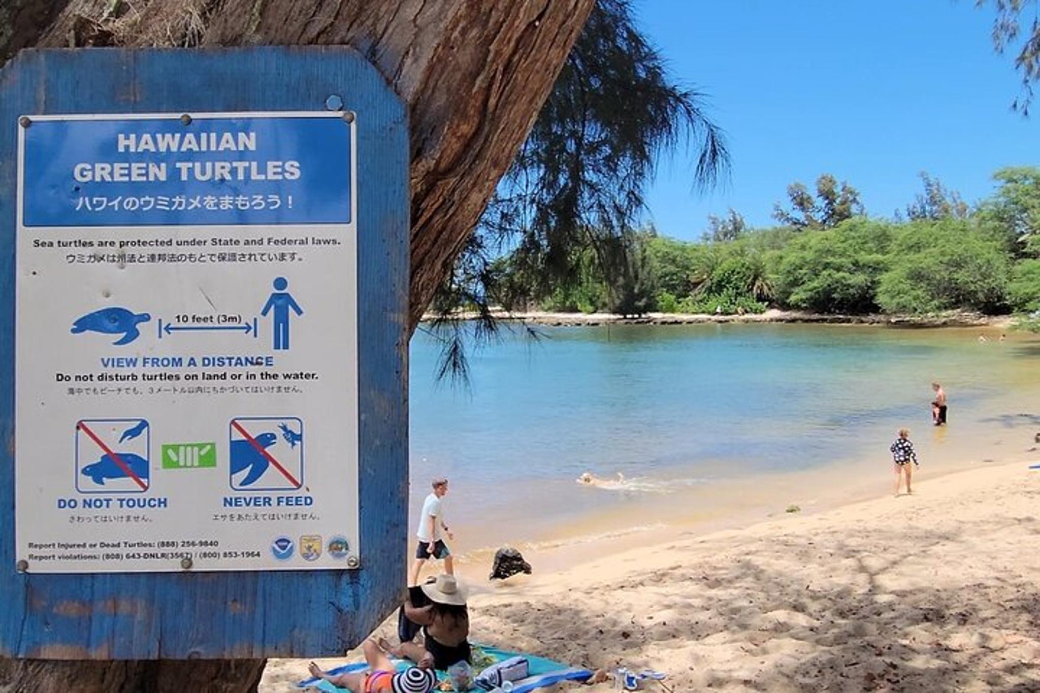 Oahu Snorkeling Tour with Turtles - Image 3