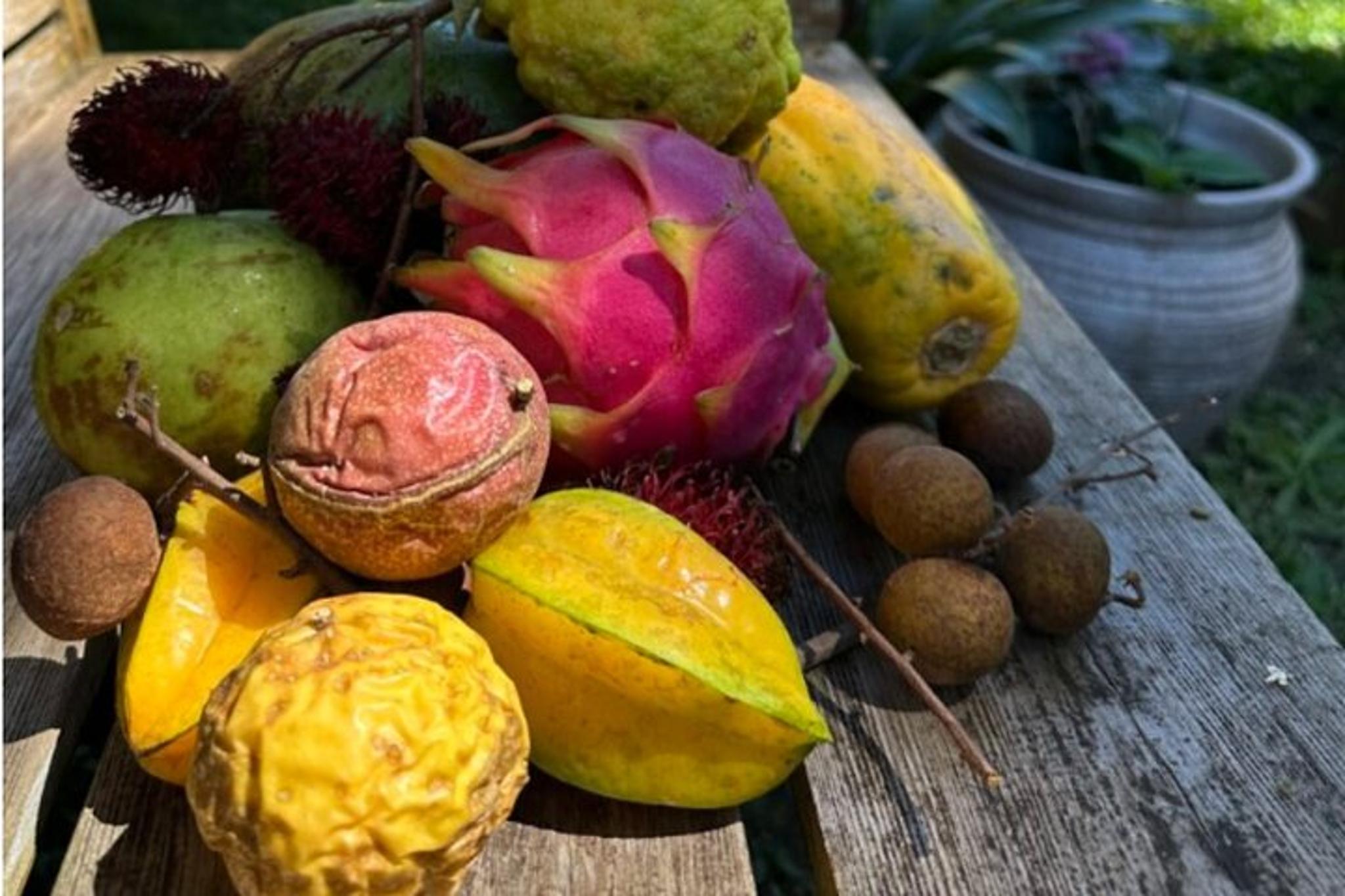 Kona Exotic Fruit Tasting Tour - Image 6