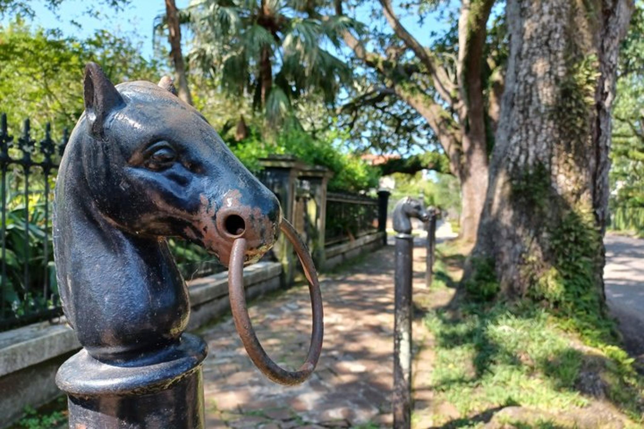 New Orleans Garden District Secrets and Scandals Tour 2 hr - Image 5