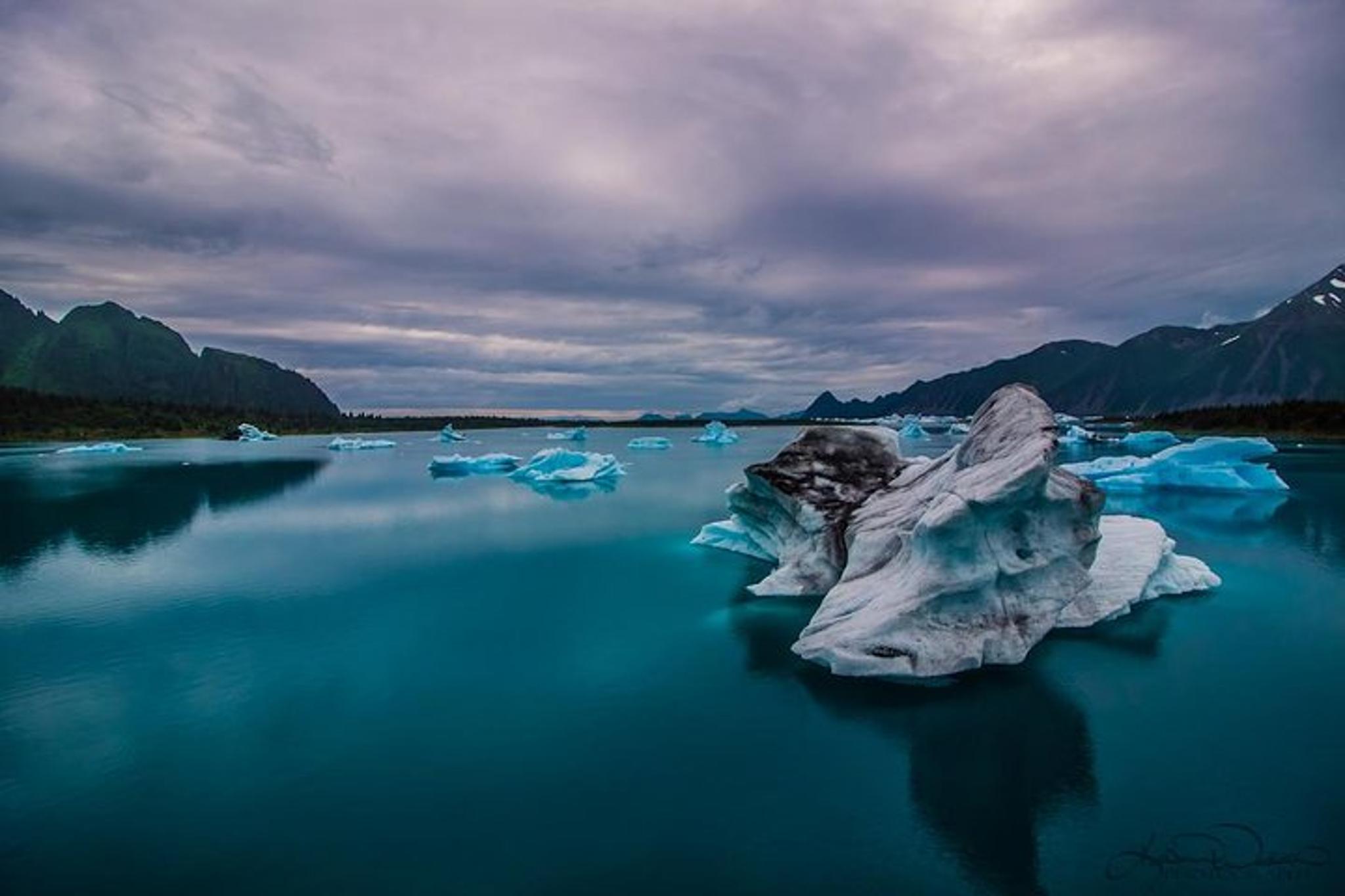 Seward Helicopter Tour of Bear Glacier 30 min - Image 2