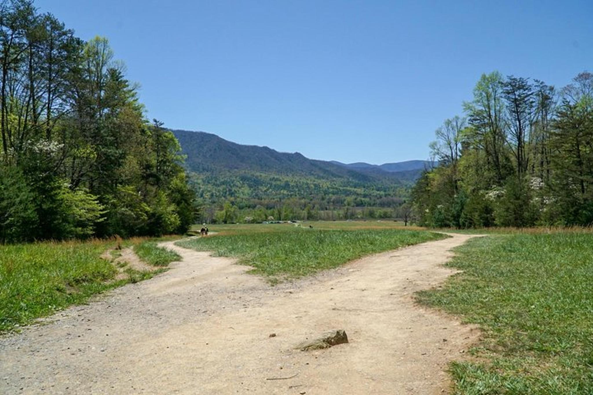 Smoky Mountains Jeep Rental Adventure - Image 6