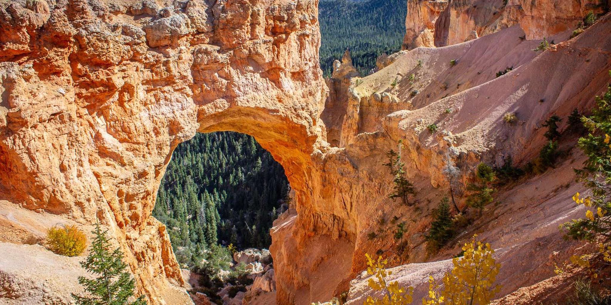 Salt Lake City Bryce Canyon Private Tour - Image 3