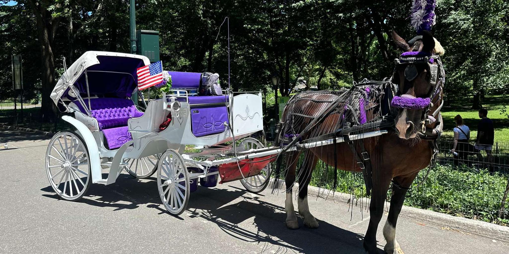 New York City Central Park Horse Carriage Tour - Image 2