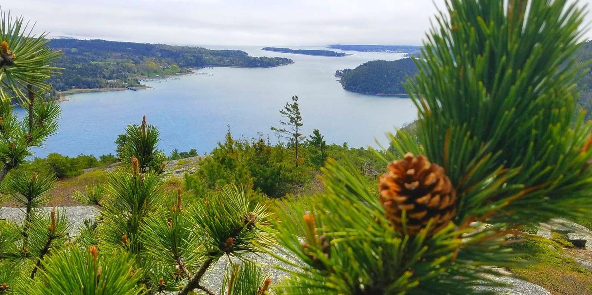 Bar Harbor Acadia National Park Private Tour 3 hr - Image 6