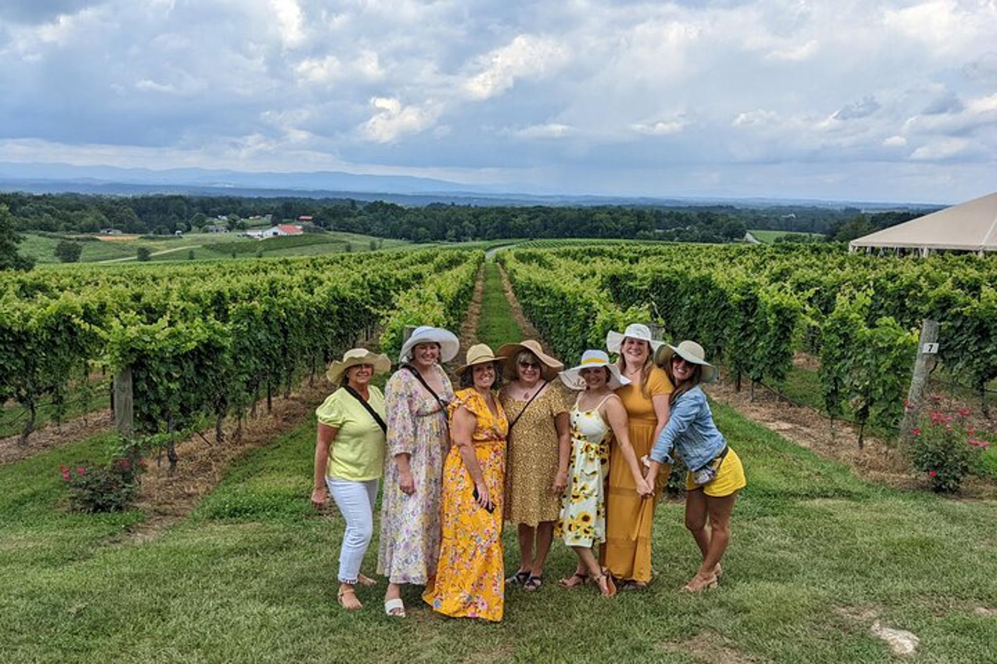 Yadkin Valley Vineyard Tour - Image 6