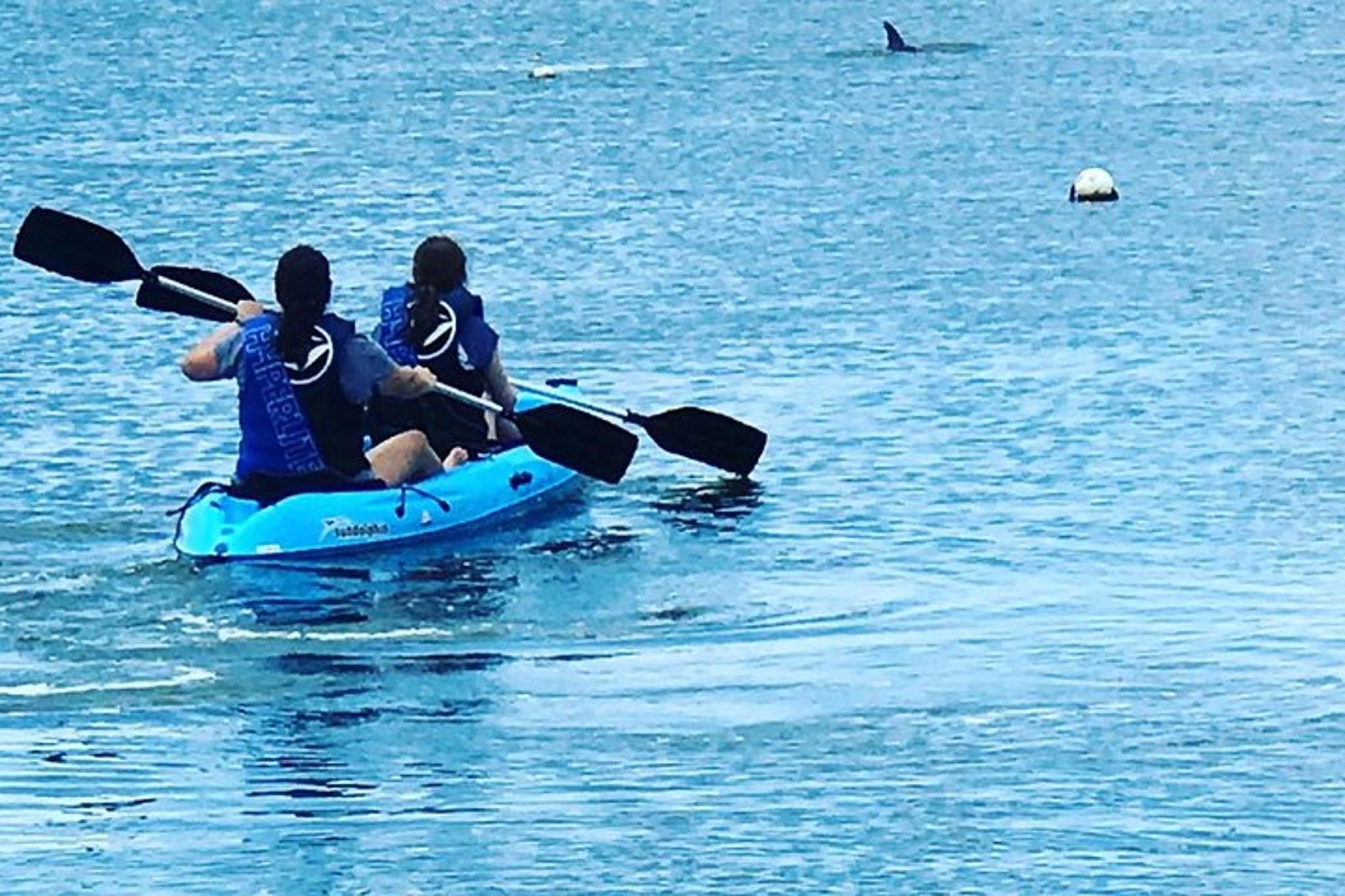 Tampa Stand Up Paddle Board Rental