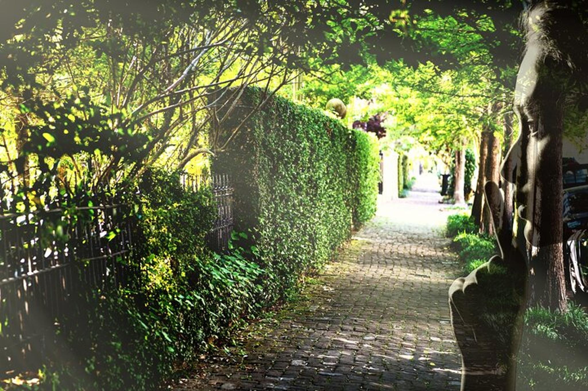 New Orleans Garden District Tour - Image 2