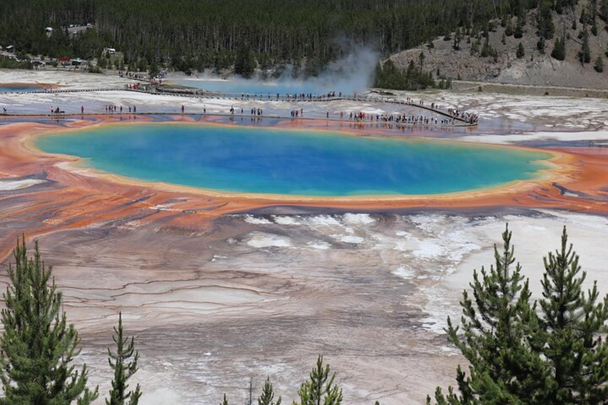 Yellowstone & Grand Teton Wildlife Tour 3-Day - Image 4