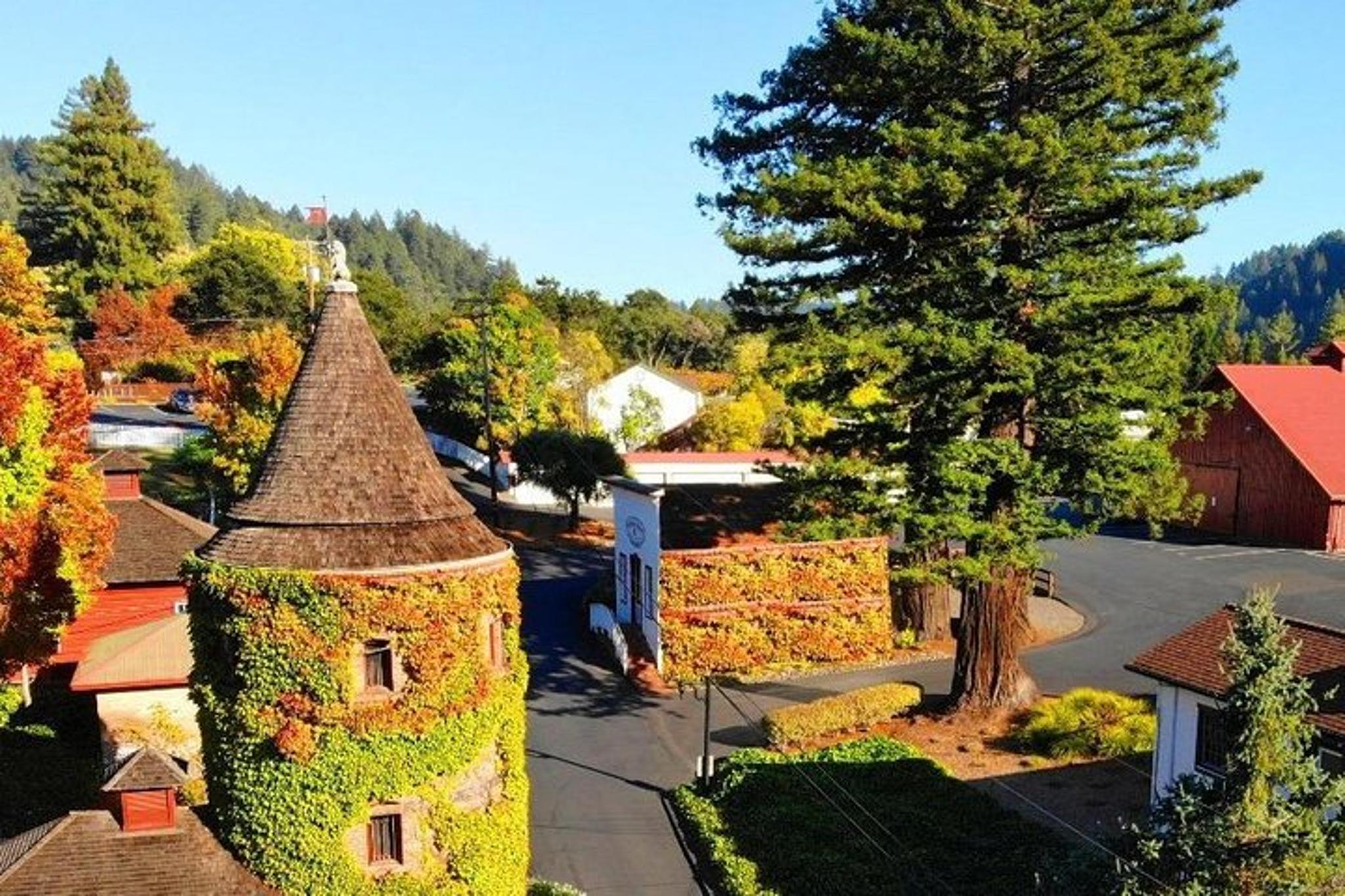 San Francisco Russian River Valley Wine Tour - Image 1