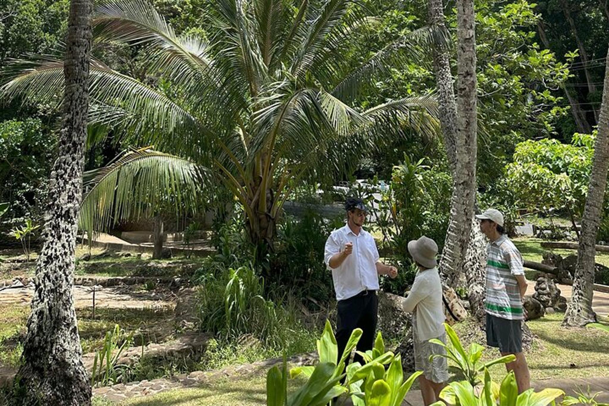 Maui Historical Island Tour - Image 2