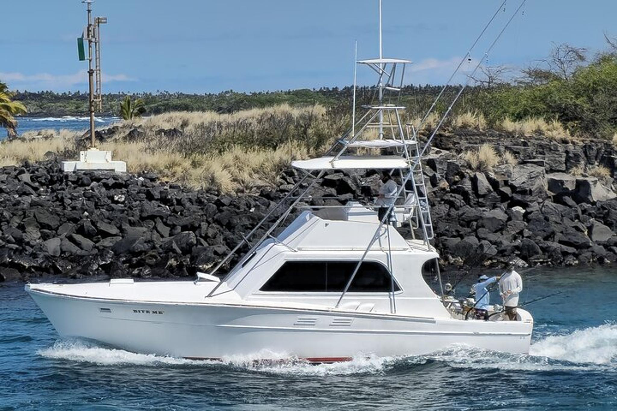 Kona Deep Sea Fishing Adventure - Image 4
