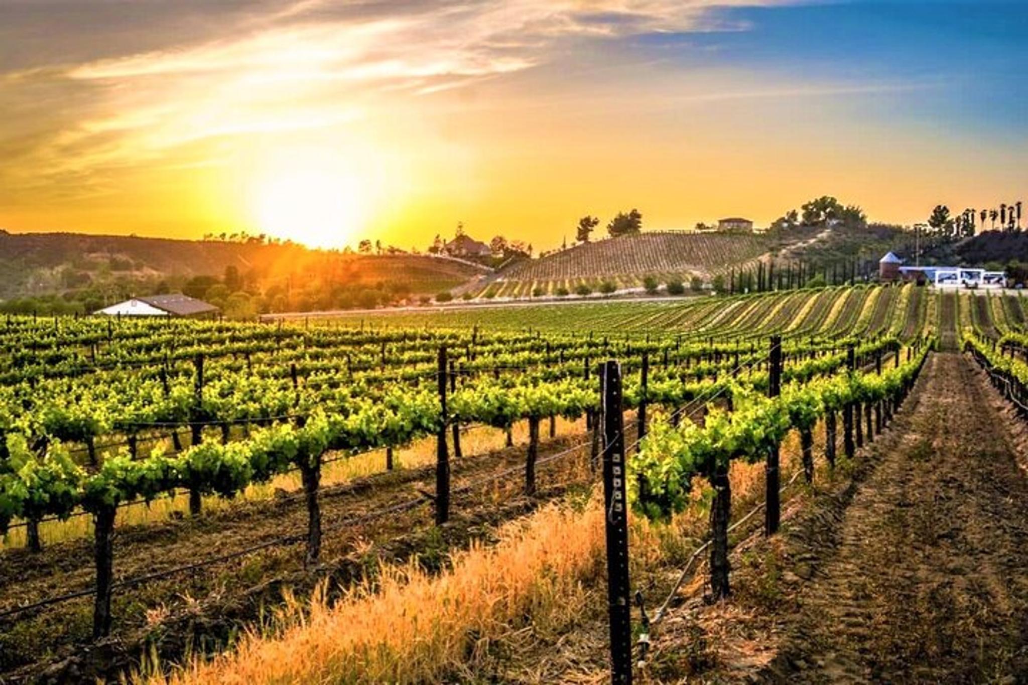 Temecula Wine Tour from Orange County - Image 2