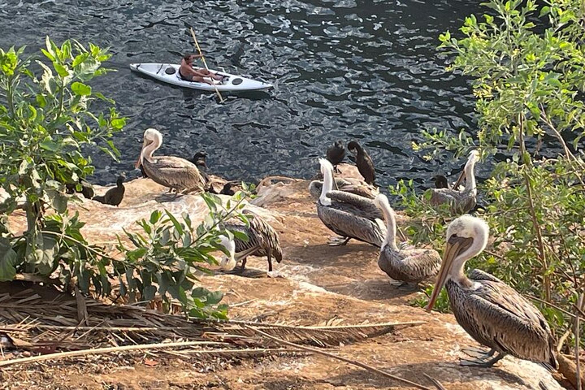 La Jolla Village Walking Tour - Image 3