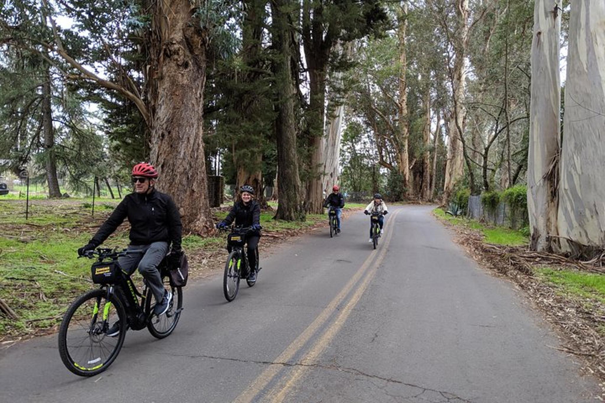Sonoma Valley Pedal Assist Bike Tour with Lunch - Image 5