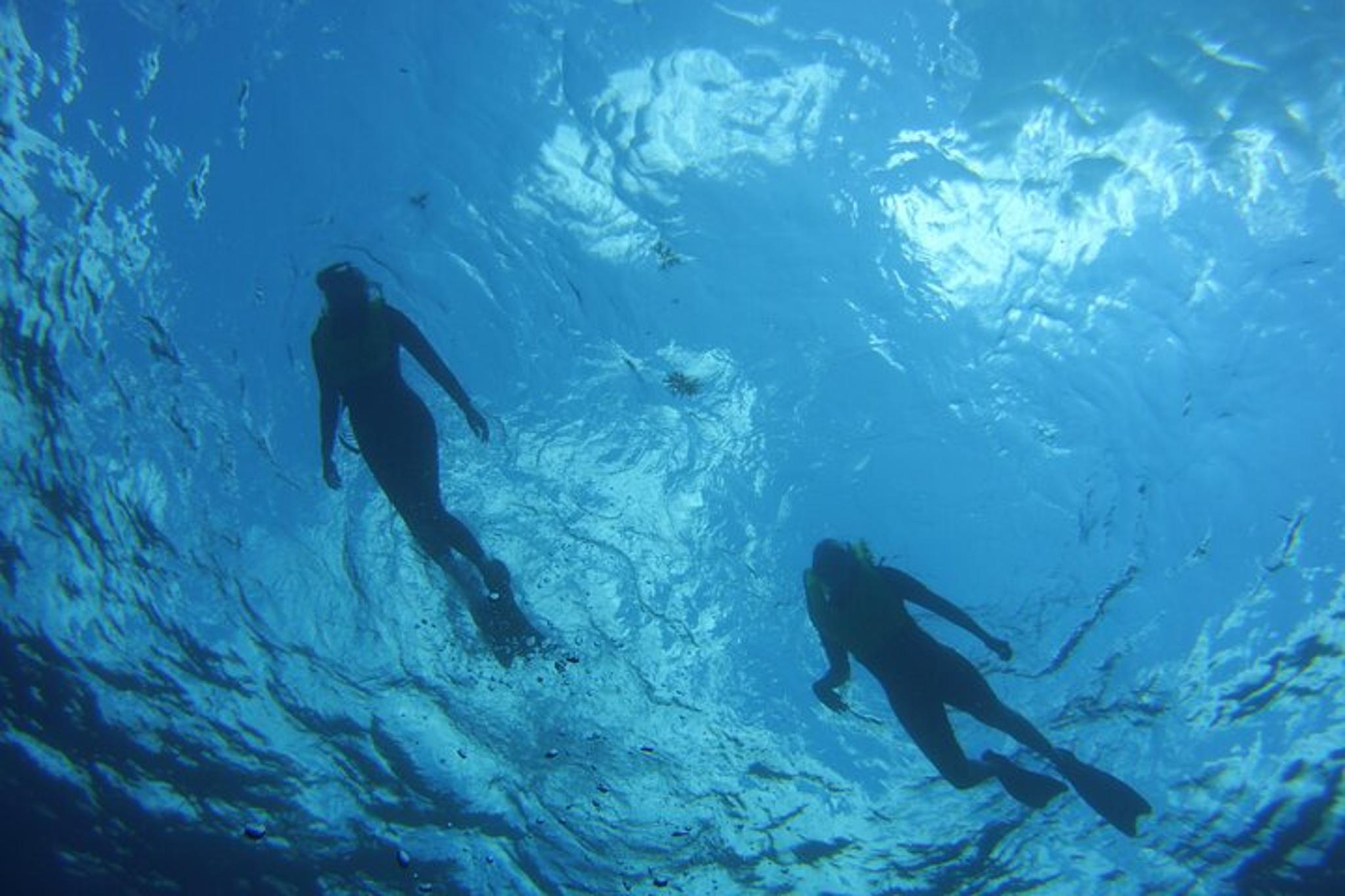 Key Largo Snorkel Tour to Reef