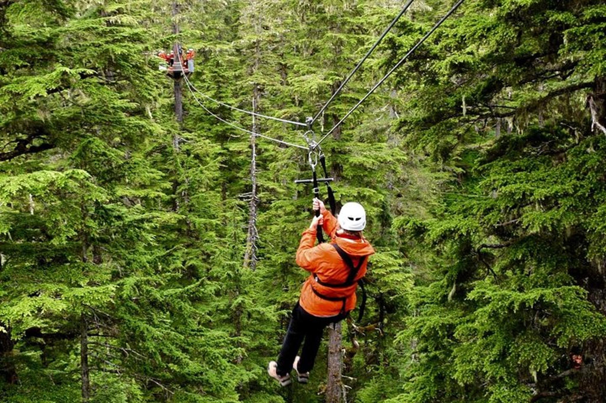 Juneau Zipline Adventure - Image 1
