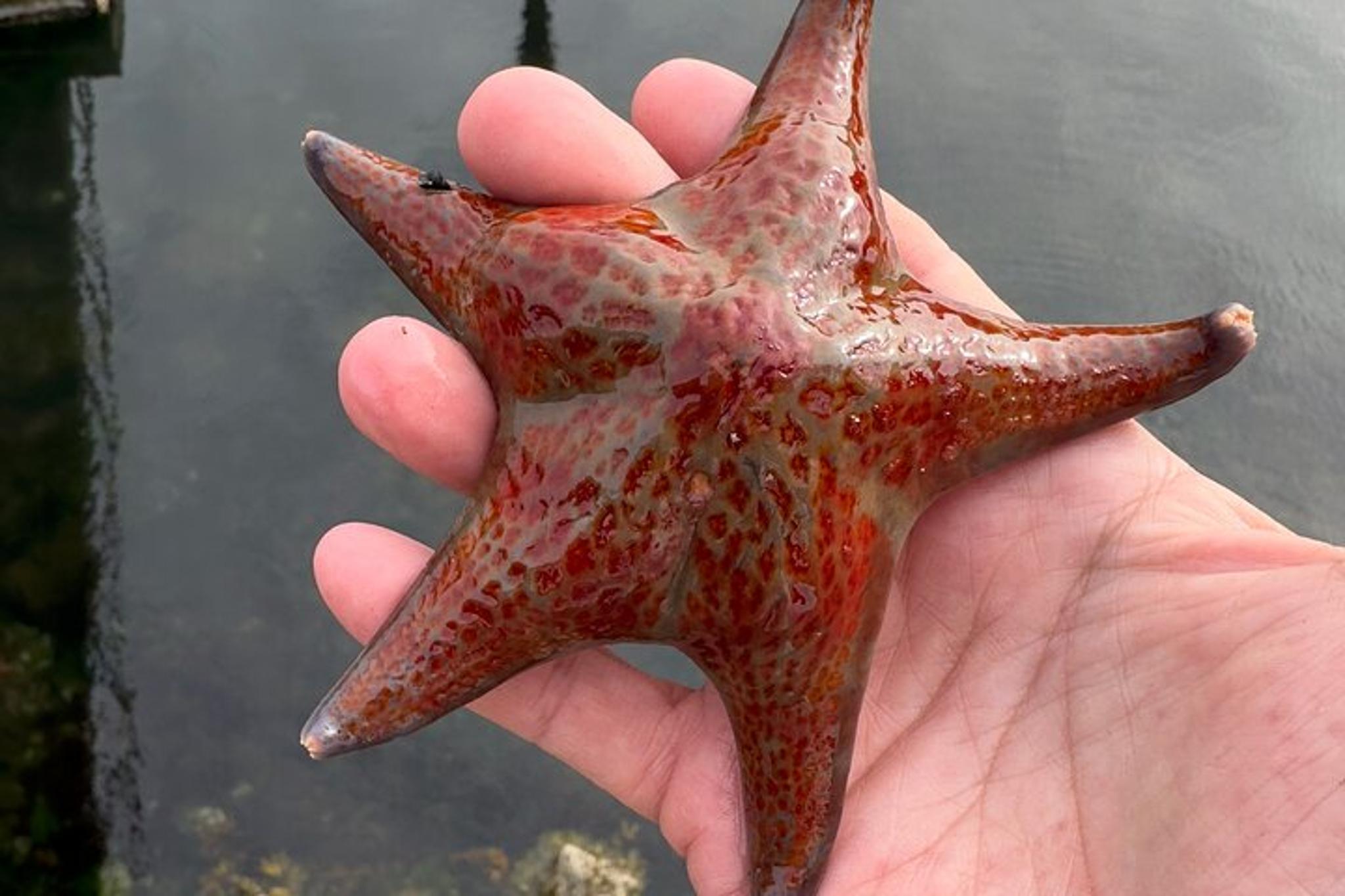 Sitka Private Island Experience - Image 6