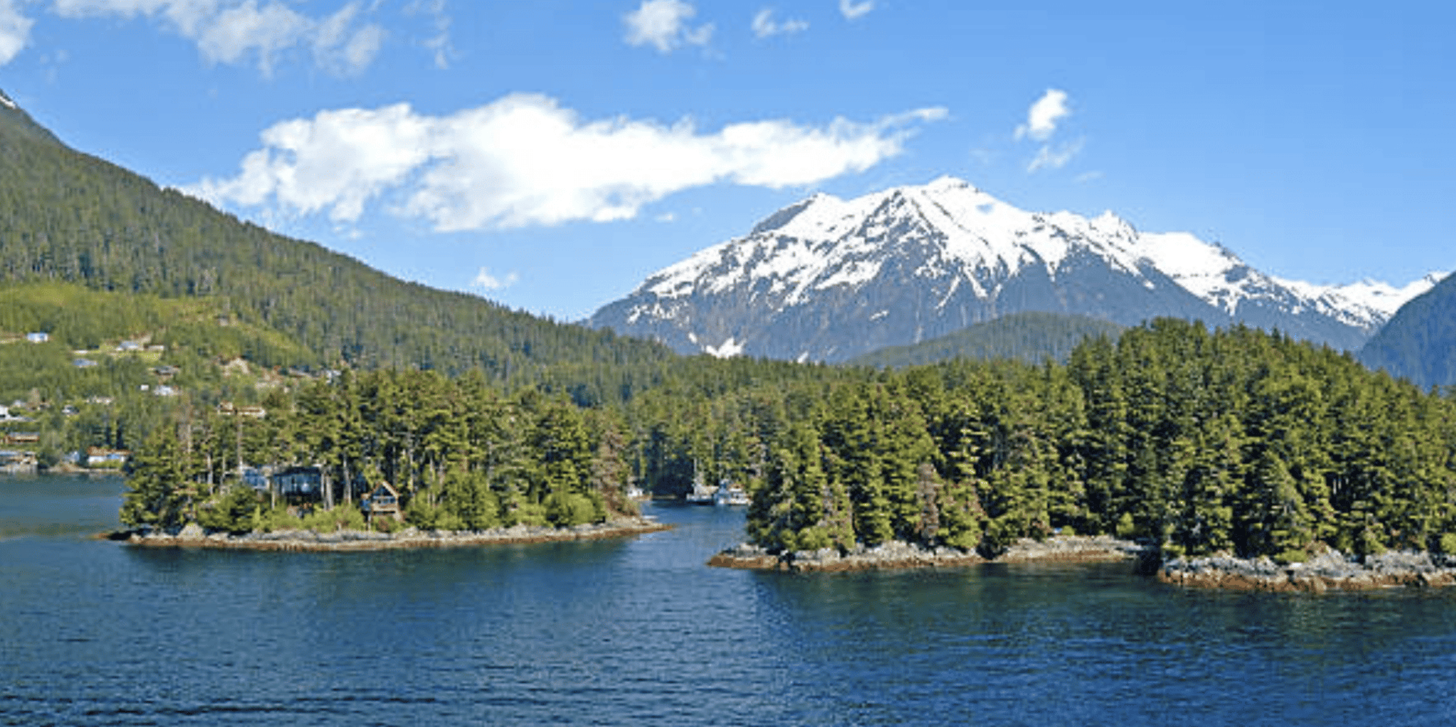 Sitka Totem Poles and Wildlife Tour - Image 5