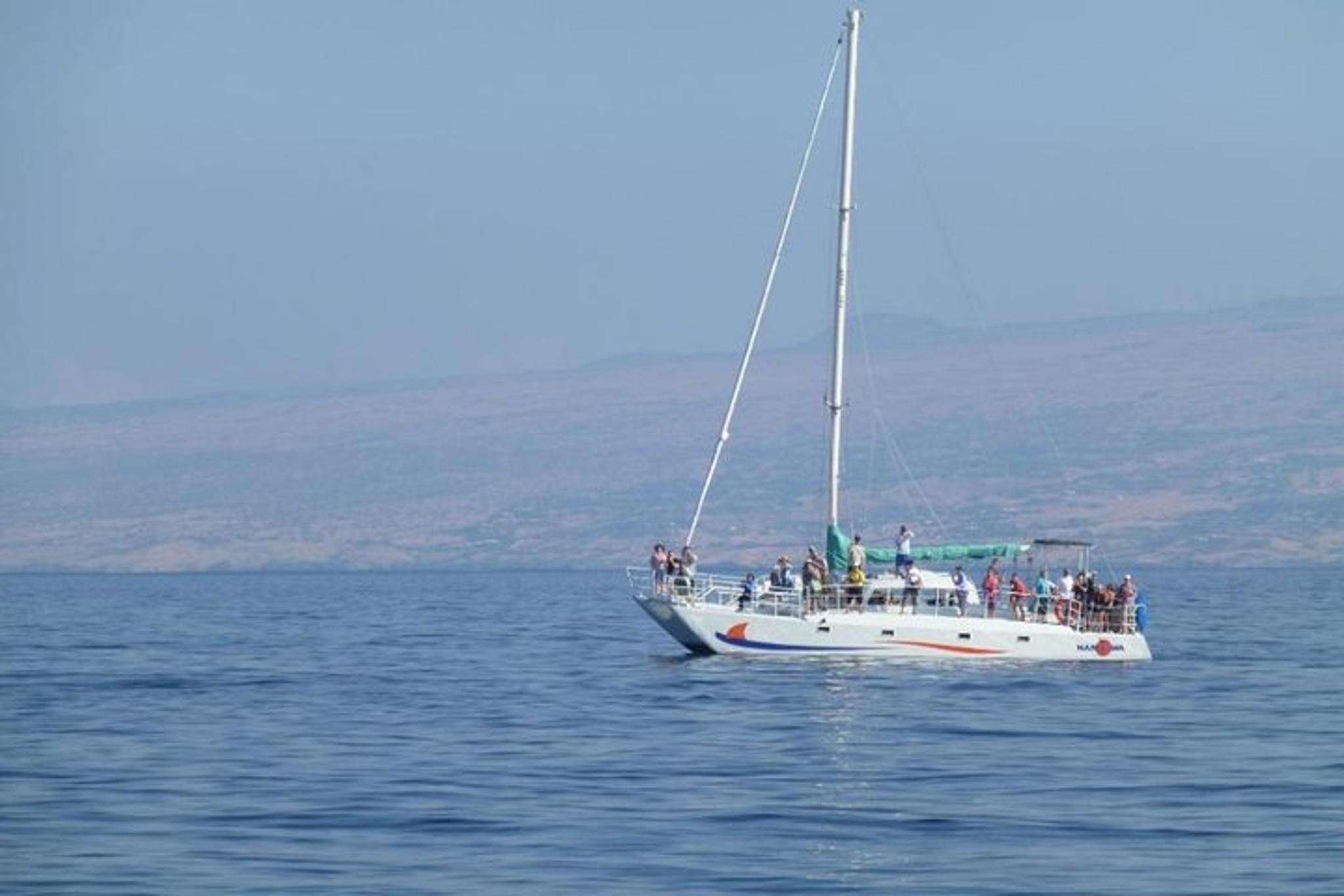 Waikoloa Whale Watching Cruise - Image 5