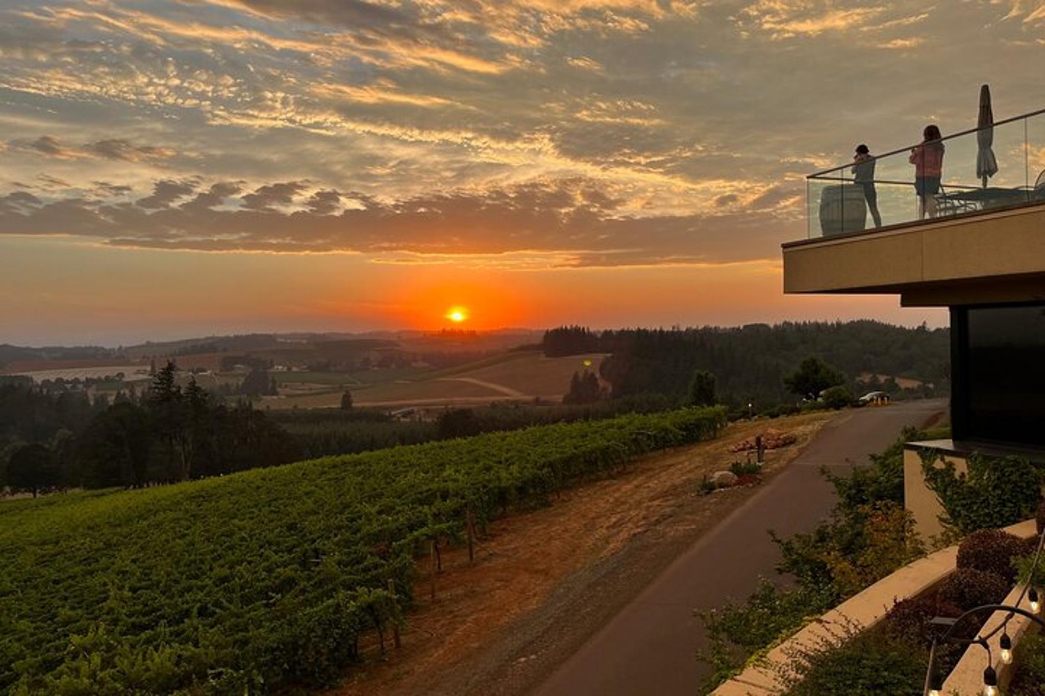 Newberg Wine Tour with Picnic Lunch 6.5 hr - Image 5