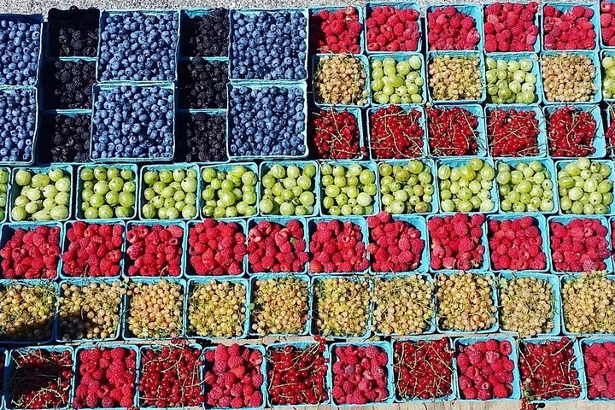 New York Farm and Outlet Shopping Tour - Image 3