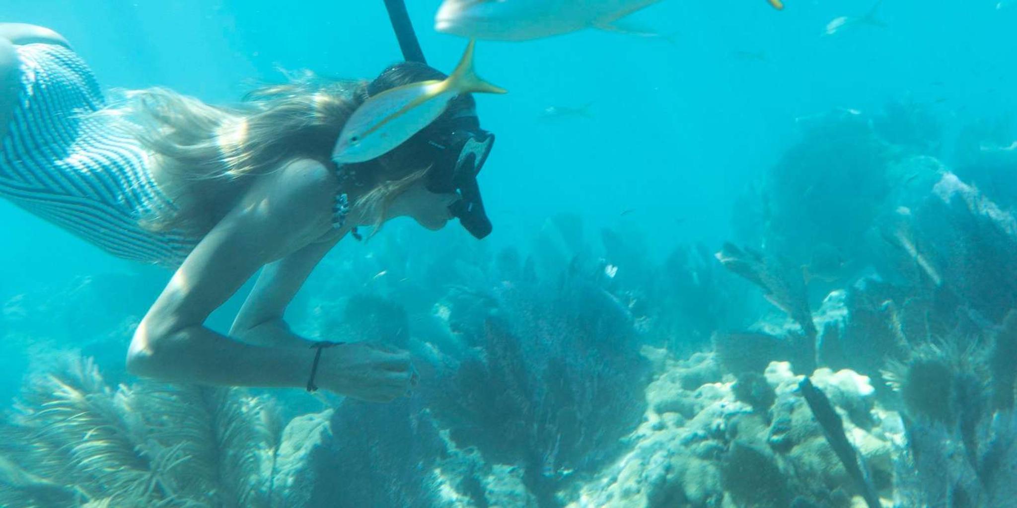 Key West Reef Snorkel and Sunset Sail
