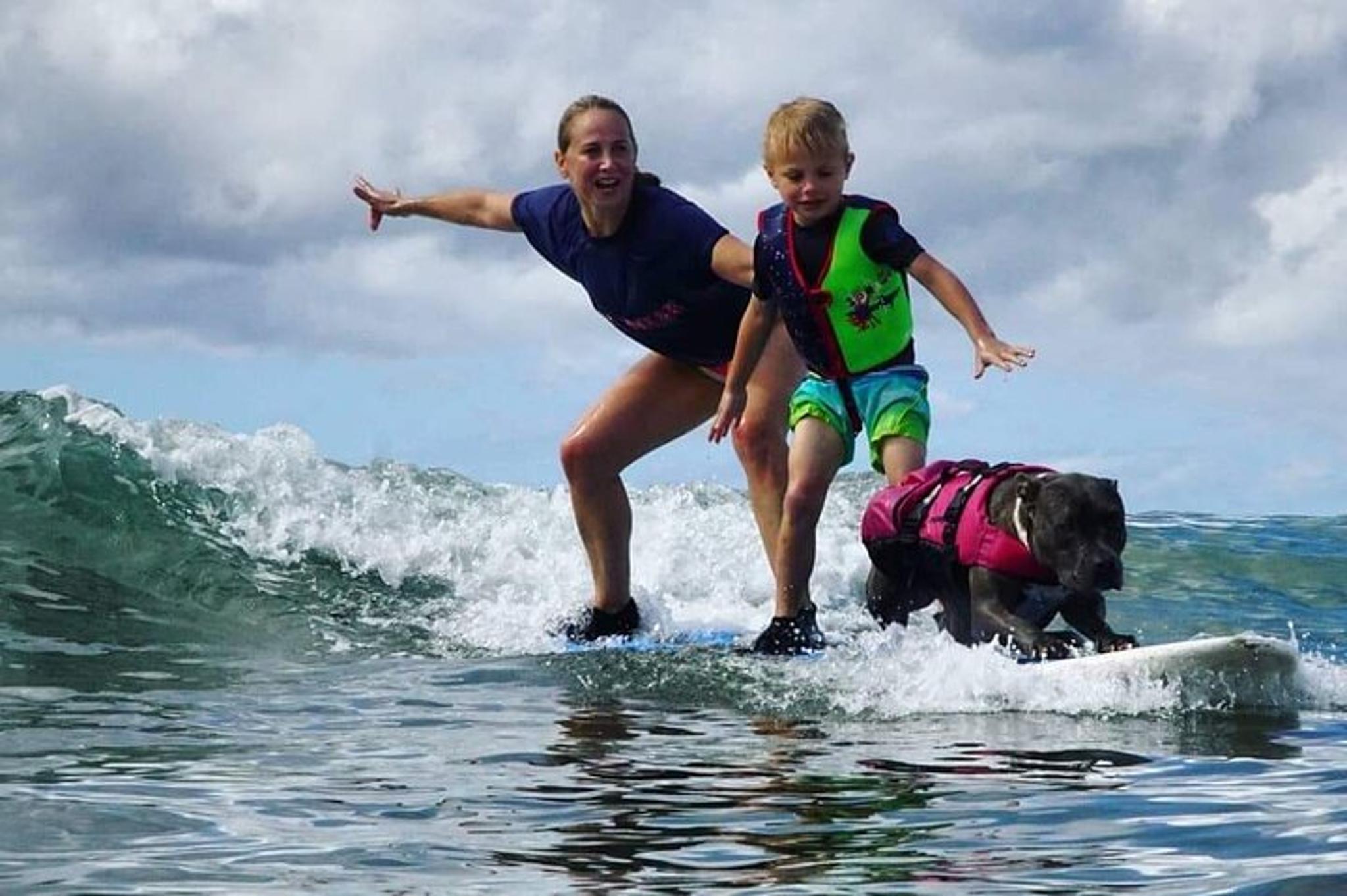 Maui Surfing Experience with Service Animal 2 hr - Image 4