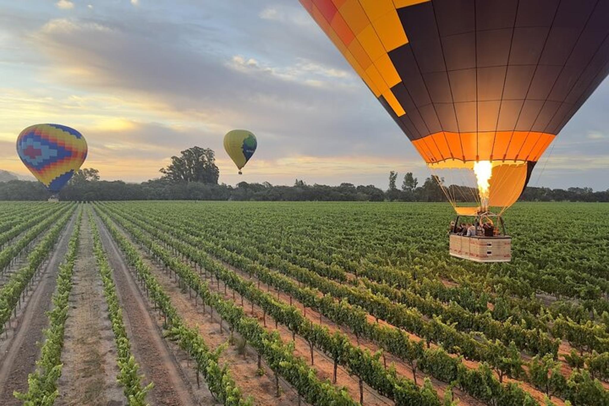 Sonoma Balloon Flight - Image 5
