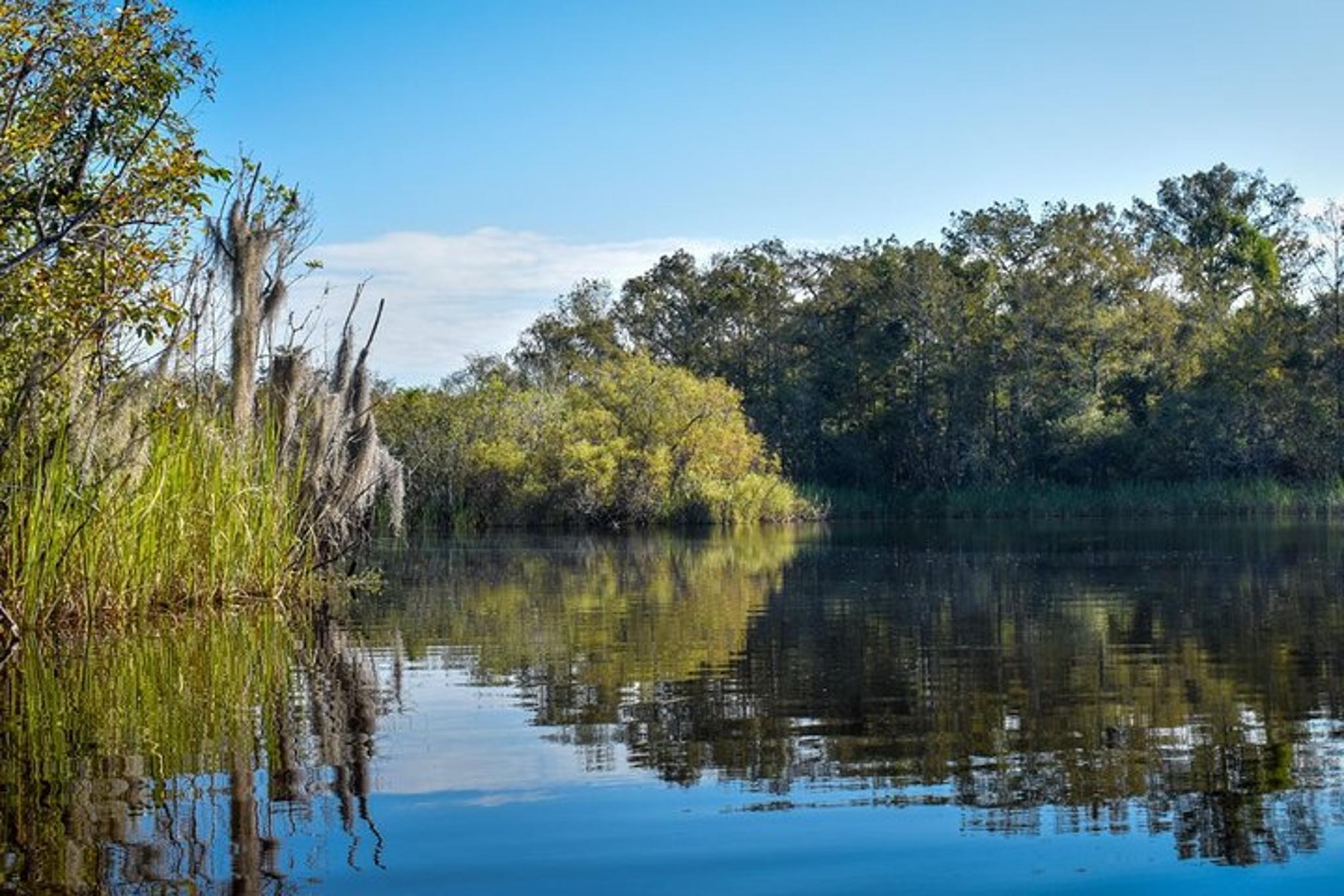 Everglades Guided Kayak Tour - Image 5