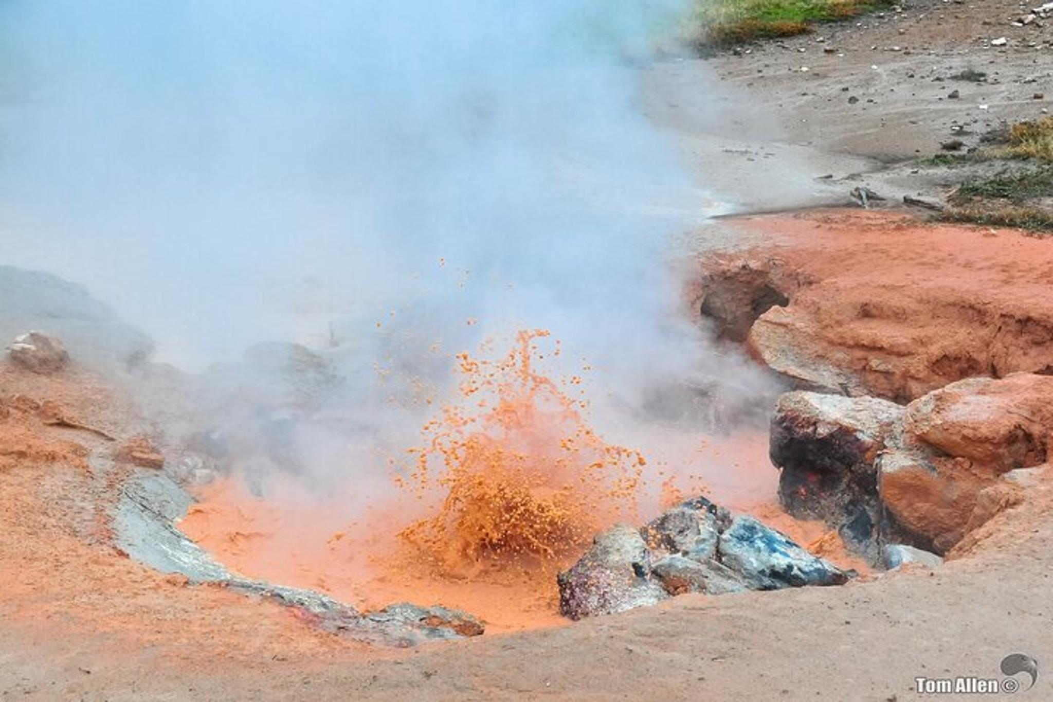 Yellowstone & Grand Teton National Parks Small Group Tour - Image 4