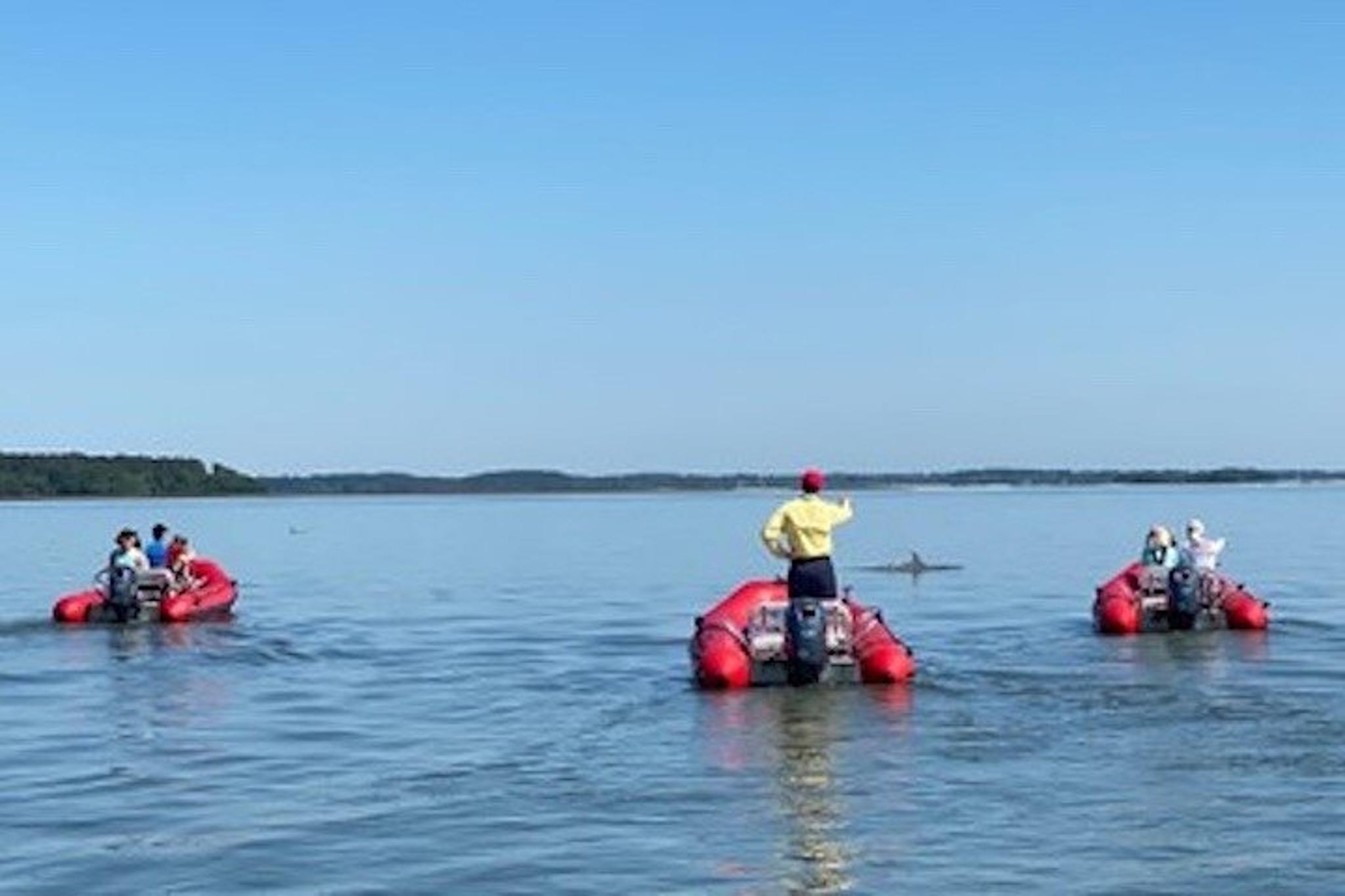 Hilton Head Mini Boat Tour to Disappearing Island