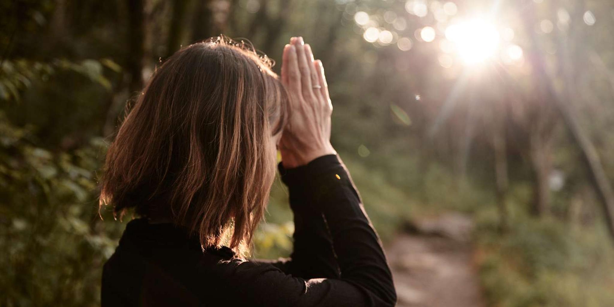 Asheville Forest Bathing & Nature Therapy 3 hr - Image 1