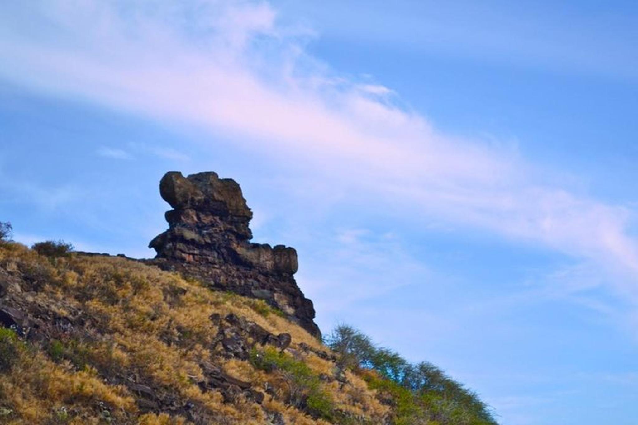 Honolulu Small-Group Tour Off the Beaten Path - Image 3