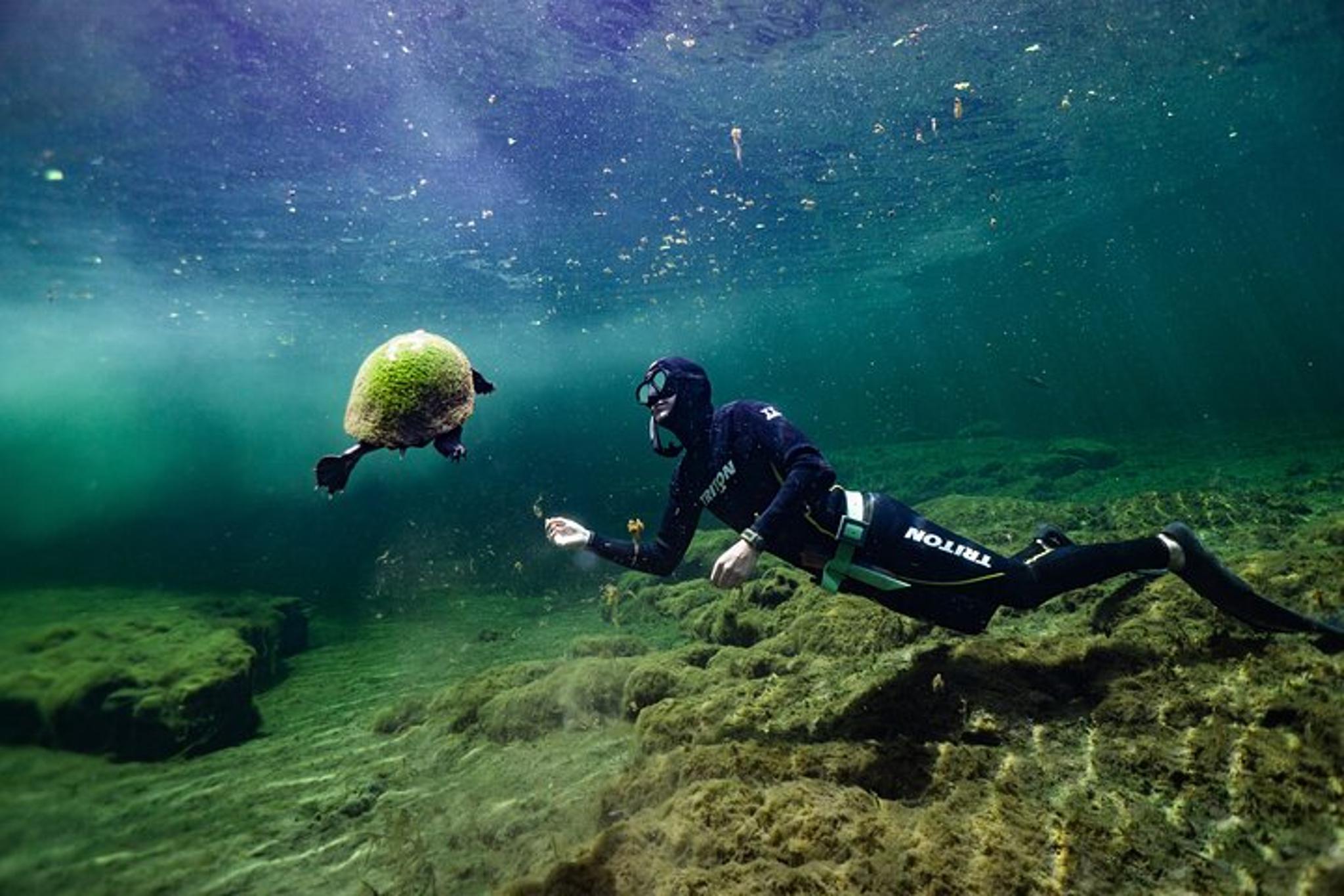 Florida Springs Snorkeling Expedition - Image 5