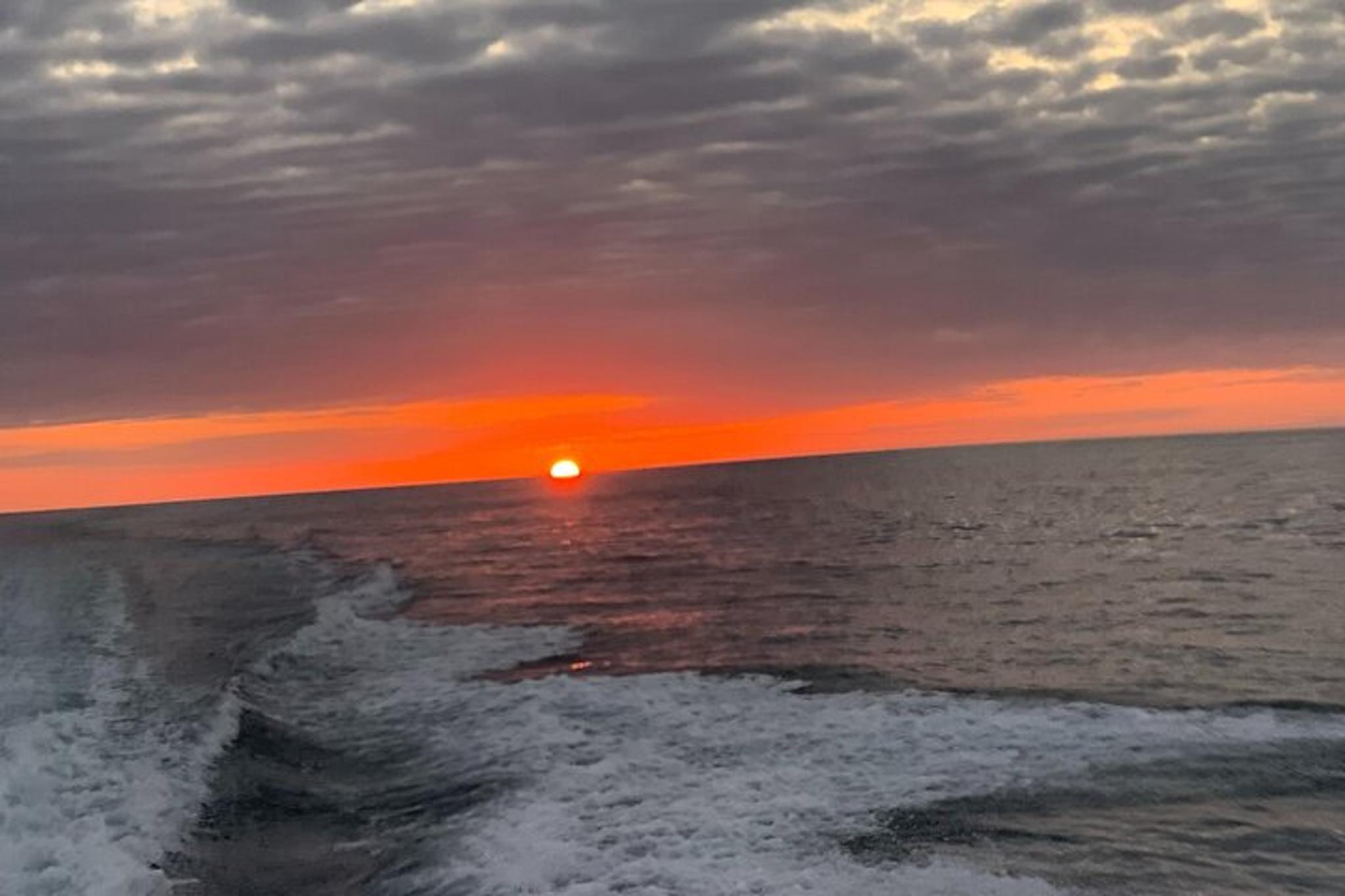 Everglades Sunset Charter - Image 2