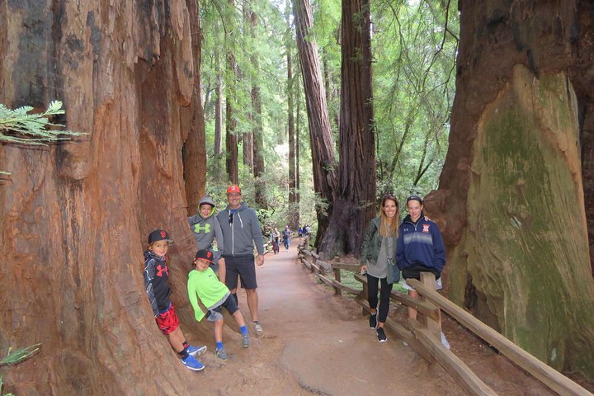 San Francisco Muir Woods & Sausalito Private Tour
