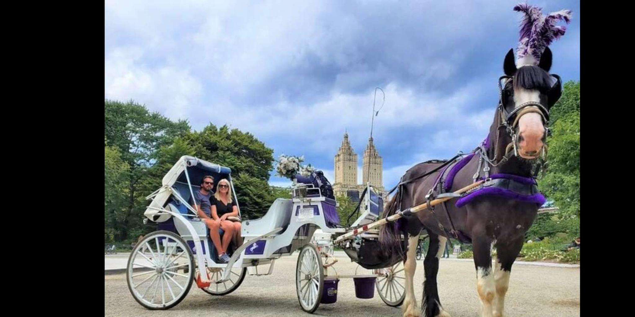 New York Holiday Lights Horse Carriage Ride - Image 4