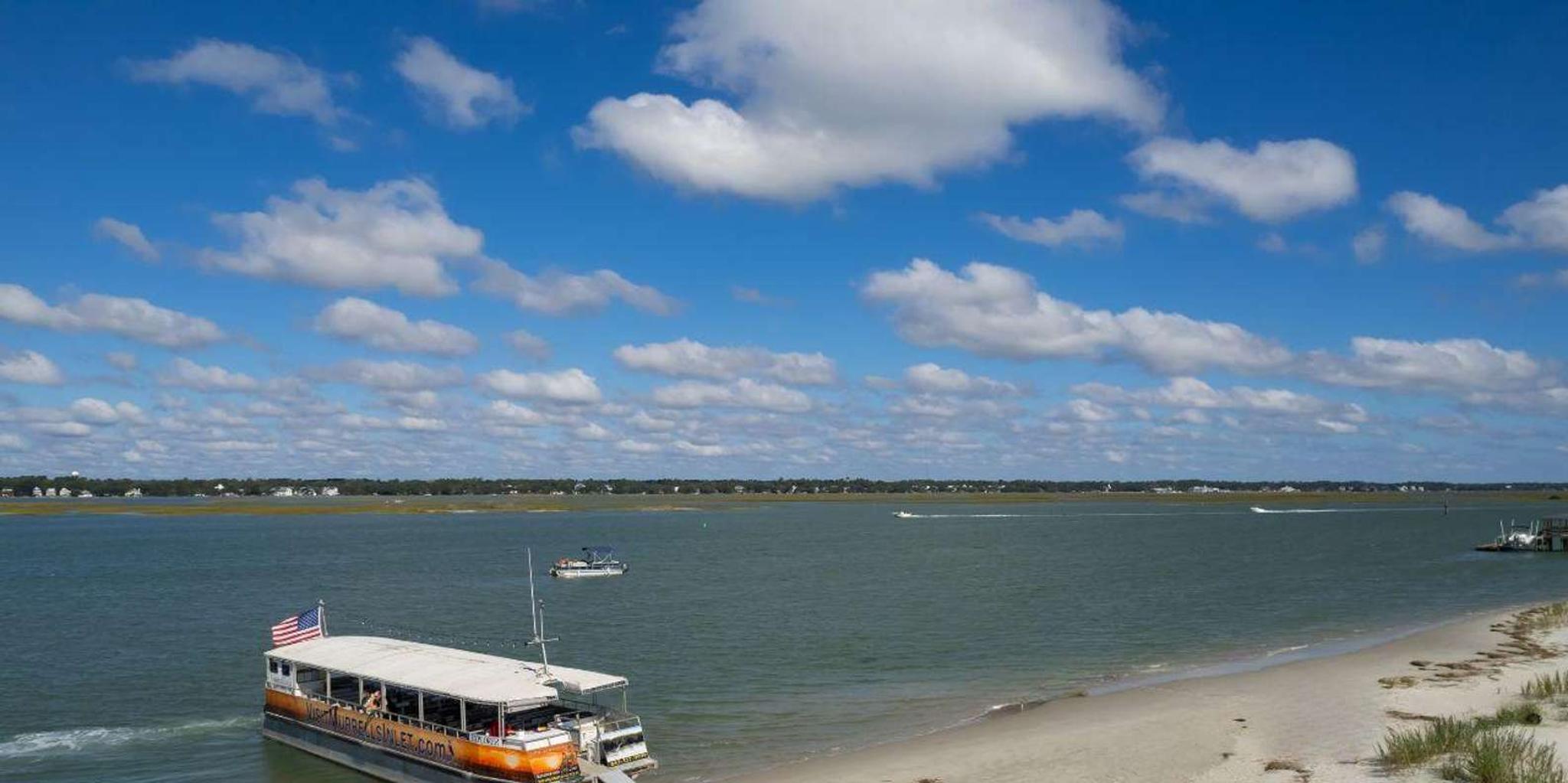 Murrells Inlet Saltwater Marsh Eco Tour - Image 6