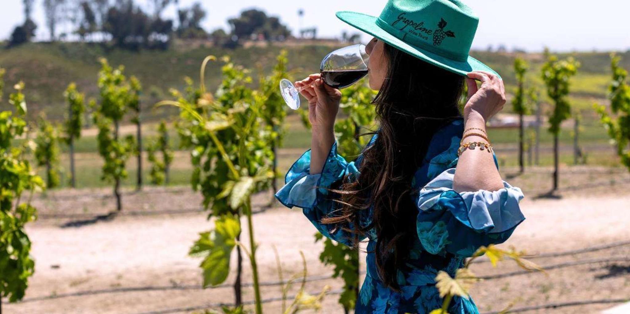 Paso Robles 3 Winery Tour with Tastings and Lunch - Image 6