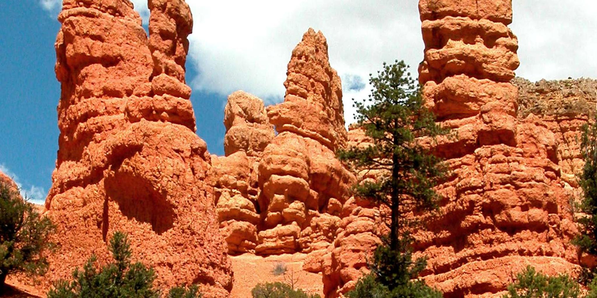 Las Vegas Bryce Canyon and Zion Park Day Tour - Image 2