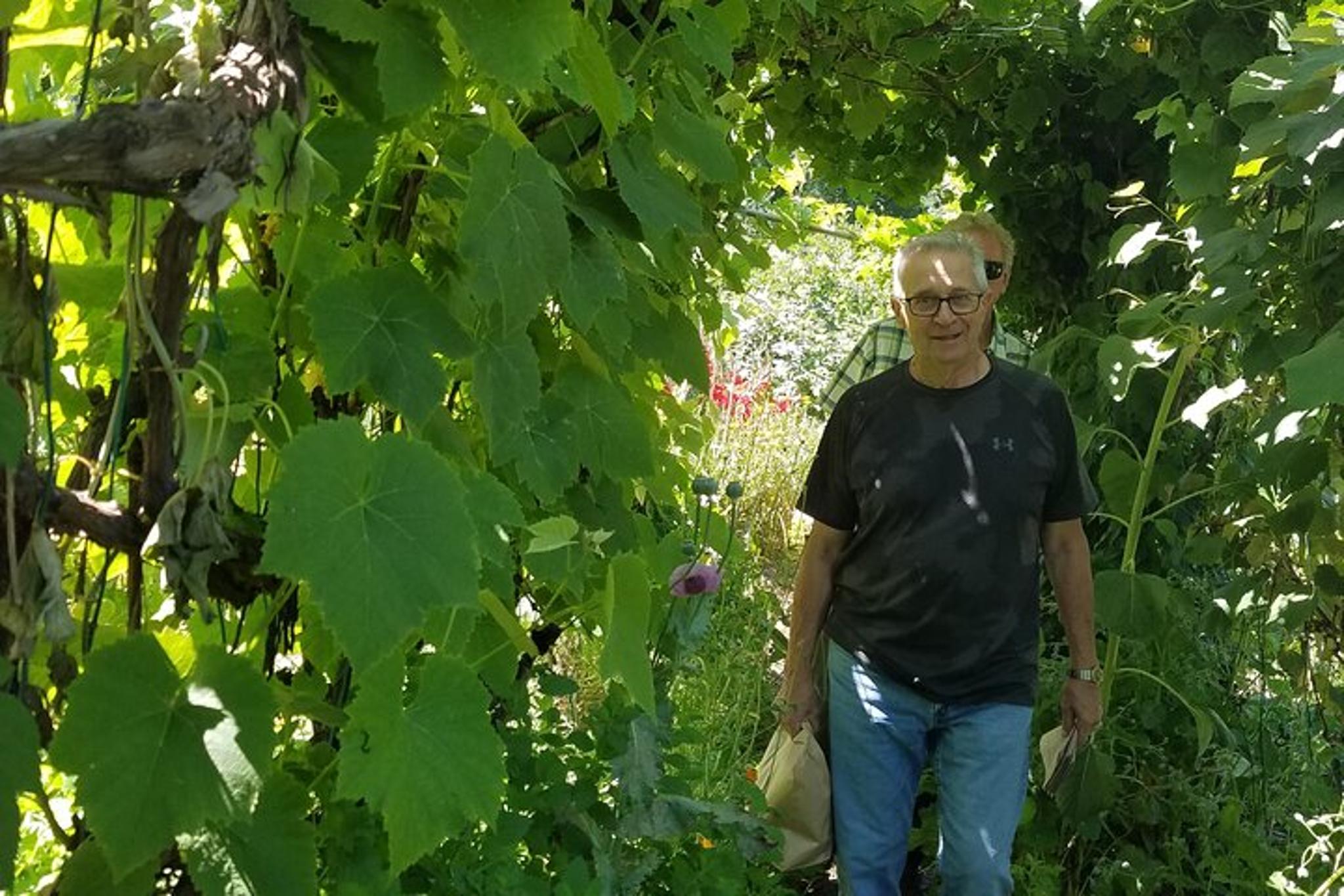 Sonoma County Redwoods and Artisan Picnic Tour - Image 5