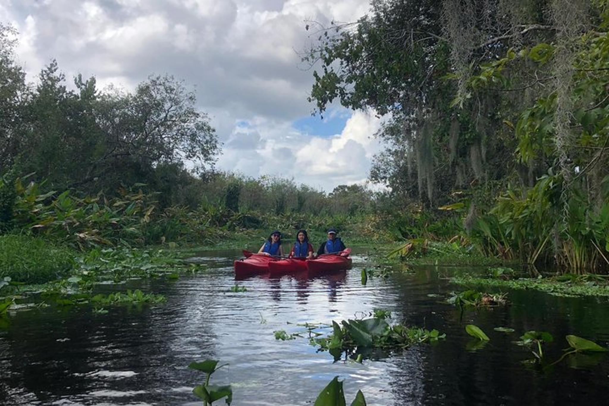 Orlando Manatee Kayak Tour 2 hr - Image 3